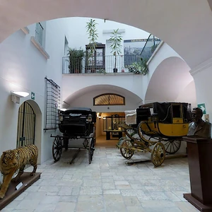 Santomasi Foundation's Museum - Gravina in Puglia