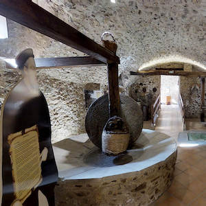 Museo Dell'olio Casa Ligaro'